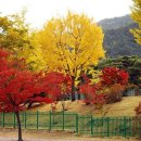 광명중학교 이미지