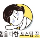 펫클럽 양정점 이미지