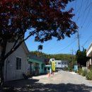 옥종공설시장 이미지