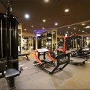 레이 휘트니스 이미지