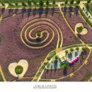 신소양체육공원1 이미지