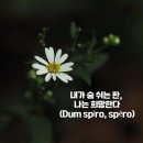 나는 희망한다 이미지