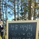 청송포레스트 이미지