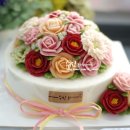 수진3호 이미지