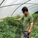 한국그린테크 이미지