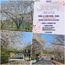 한수제 일원 | 전남 나주가볼만한곳 한수제벚꽃축제 주차장 가족나들이 여행