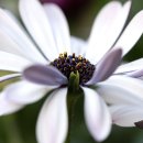 남사중학교(체육관) 이미지