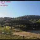 미천면-8 네이버블로그