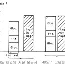 8월15일 일요훈련 이미지