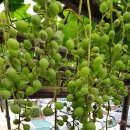 중흥2동 행정복지센터 앞 이미지