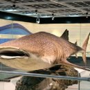 우장춘로 이미지