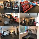 바디 디자인 이미지