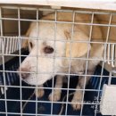 봉곡동042 이미지