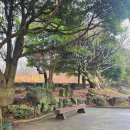 이모네 해물파전 | 제주 서쪽 여행 중 발견한 인생 전복죽 및 해물파전 금능이모네 주차부터 메뉴까지