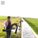 관개[灌漑]용 사이펀[siphon] 튜브 이미지