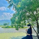 댕댕하동 이미지