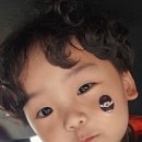 팍스씨앤씨