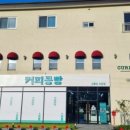 강릉커피콩빵강릉당초당점 이미지