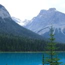 캐나다 록키 5 ( 에메랄드 호수와 밴쿠버 ).......... 이미지
