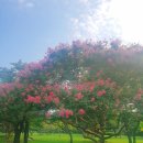 전남대학교병원5동 | 9월이당