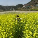남해솔루션