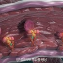 에이비엘 이미지