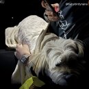 동부산팜 이미지