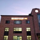 참동물의료센터 | 포항 돌담동물의료센터 고양이 건강검진 후기 | 당근이 첫 체크업