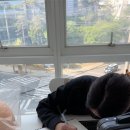 창원민낯뷰티미용아카데미