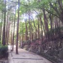 동아대학교의료원 이미지