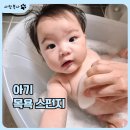 스펀지 | 아기 목욕스펀지 사용 후기, 무르무르 베이비 곤약 스펀지