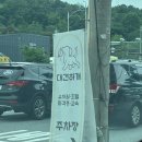 대견하개 이미지