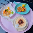 봉봉애견 이미지