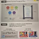 유아 보드게임 | 다이소 유아 교구 추천 | 미니블록 보드게임 후기 (테트리스)