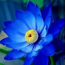 서정고등학교 이미지