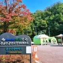 광교산공영자전거대여소(버스종점) 이미지