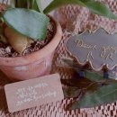 영자네돼지국밥 이미지