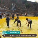 초리넝쿨마을 이미지