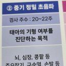굳건병원 | [임신 20주 4일차] 에이치큐브병원 중기 정밀초음파 시기 과정 후기 임산부 독감주사 태아 요관 이상...