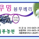 솔미농원 이미지