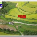 산일마을회관 이미지