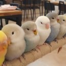 리프패럿시민공원점 이미지