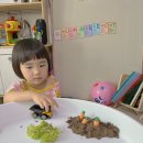 윤상농장 이미지