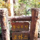 로하스통나무집