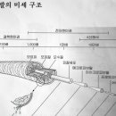 경주미용실 이미지