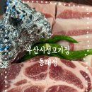 동래정부산 이미지
