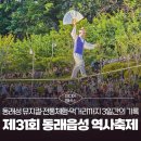 우리 민화(야간) | [미디어멤버스] 제31회 동래읍성 역사축제 후기 │ 동래성 뮤지컬·전통체험·먹거리까지 3일간의 기록