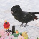 카페베고니아