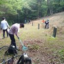 칠갑산청정한우타운 이미지