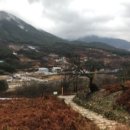 세동민박